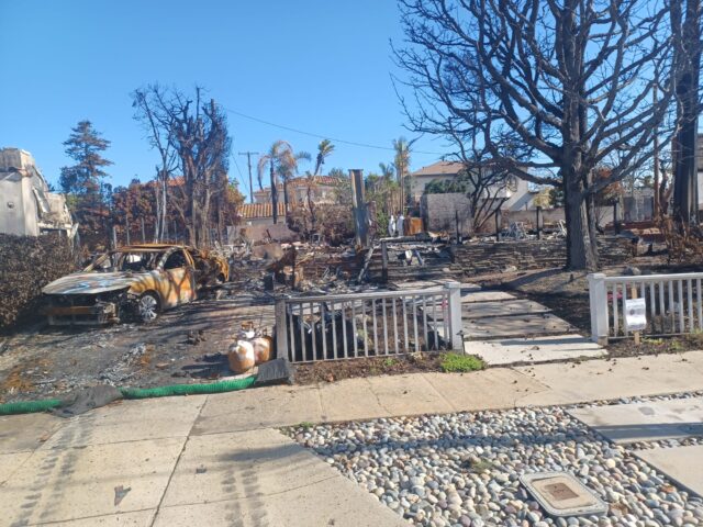 Miami Way Home Burnt 2025